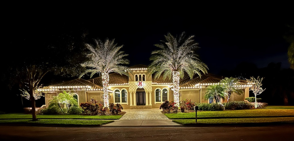 String Lighting for your Wilmington Palm Trees Add Class and ...